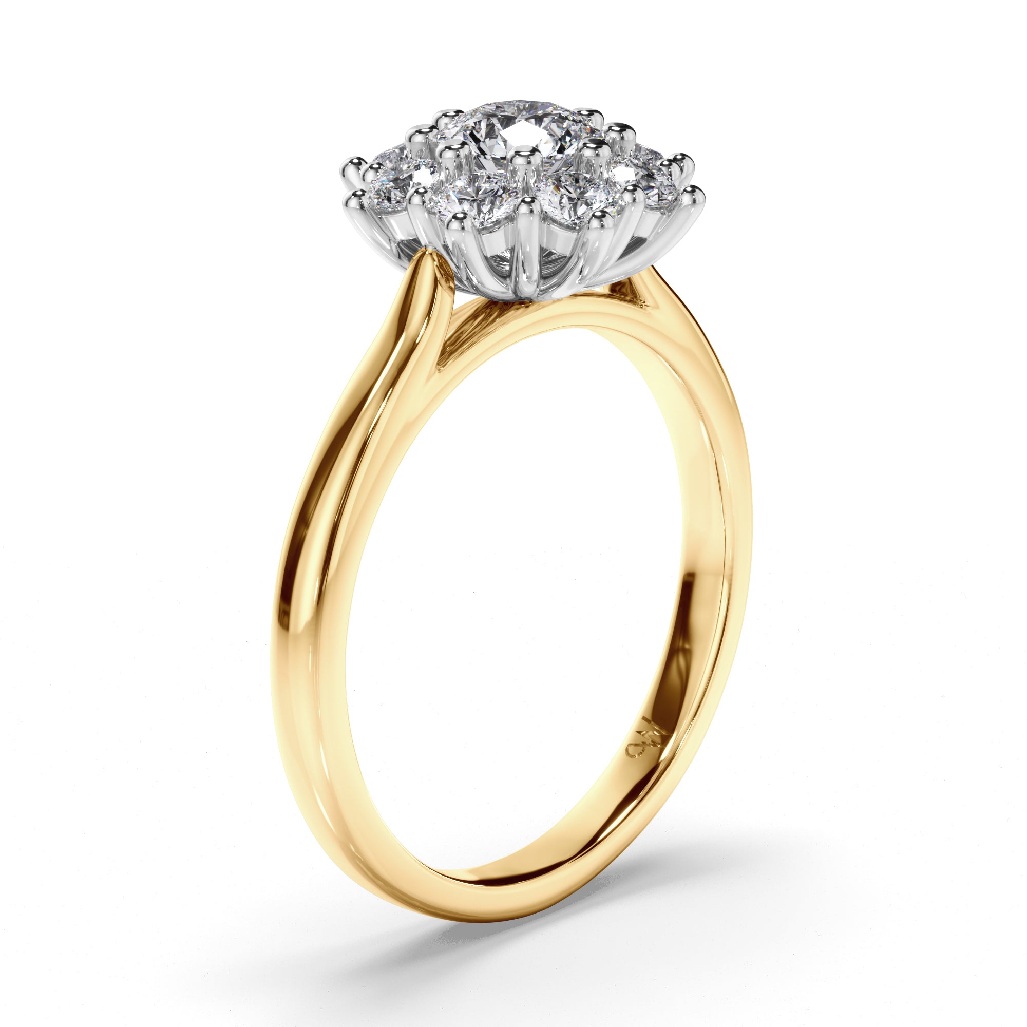 Round Diamond Engagement Ring with Cluster Halo
