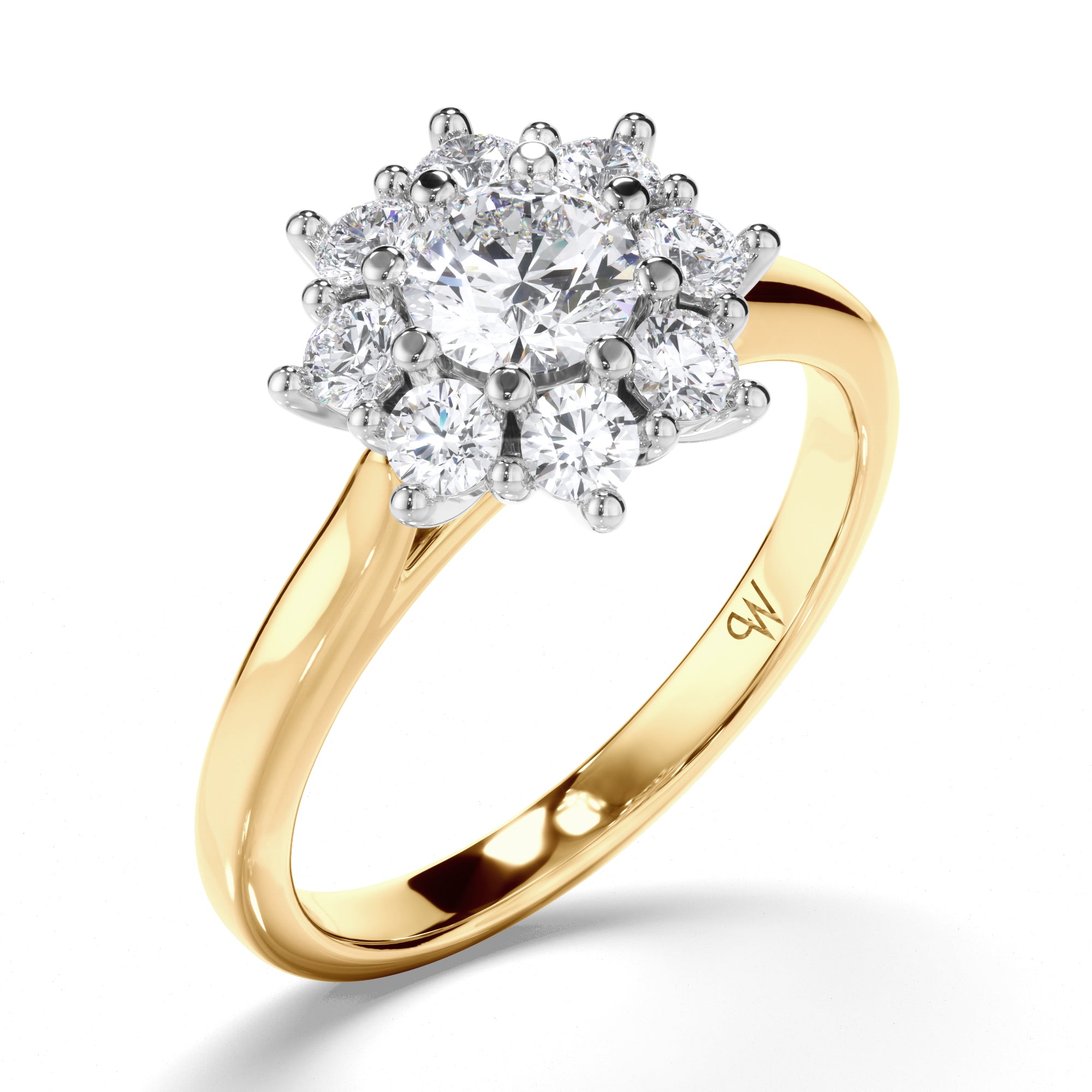 Round Diamond Engagement Ring with Cluster Halo