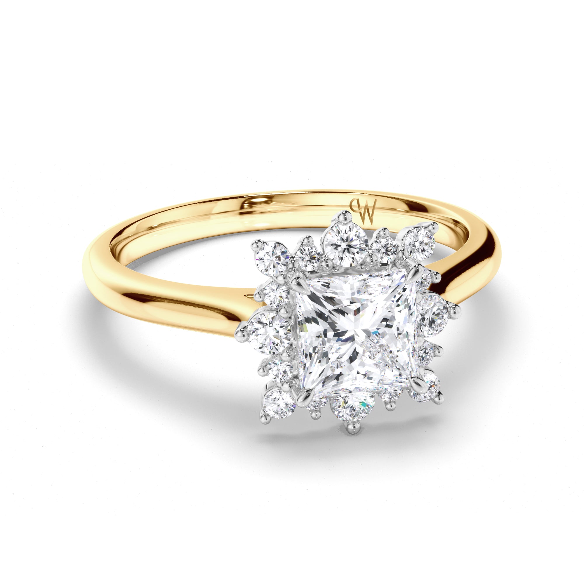 Princess Cut Diamond Engagement Ring with Scattered Halo